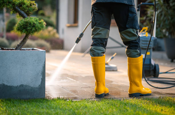 Best Deck Pressure Washing  in Shelbyvle, IL